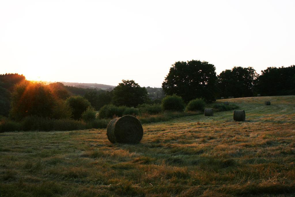 Domaine De Romefort Saint-Leonard-de-Noblat Bilik gambar
