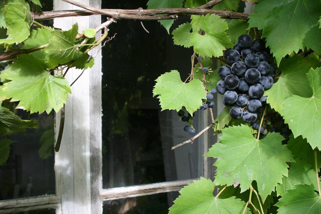 Domaine De Romefort Saint-Leonard-de-Noblat Bilik gambar
